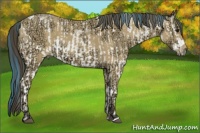 Horse Color:Watercolor White Spotted Bay Ice  and Buckskin Ice Roan 