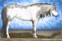Horse Color:White Spotted Smoky Grullo Roan Frame 