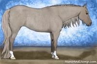 Horse Color:Silver Grullo Roan Rabicano 