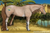 Horse Color:White Spotted Bay Roan Pearl