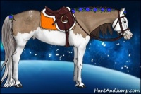 Horse Color:Bay Dun Sabino Splash Appaloosa Rabicano