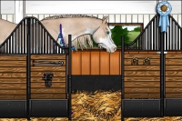 Horse Color:Red Roan Sabino Splash 