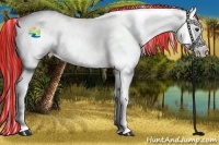 Horse Color:Painted Red Dun Sabino Splash Snowcap 