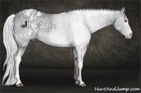 Horse Color:White Spotted Silver Grullo Chinchilla Ice Appaloosa