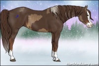 Horse Color:Chocolate Palomino Sabino Splash  and Liver Chestnut Sabino Splash 