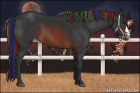 Horse Color:Painted Brown Appaloosa 