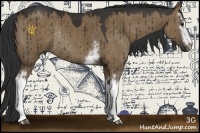 Horse Color:White Spotted Liver Red Dun Sabino Rabicano