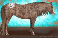 Horse Color:Liver Chestnut Sabino Splash Blanket  and Chestnut Sabino Splash Blanket 