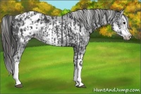 Horse Color:Blue Roan Sabino Splash Varnish  and Black Sabino Splash Frame Varnish 