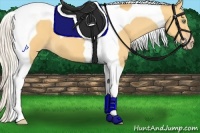 Horse Color:Silver Amber Cream Champagne Tobiano 