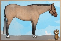 Horse Color:Brown Roan Dun Brindle 
