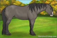 Horse Color:Smoky Grullo Splash