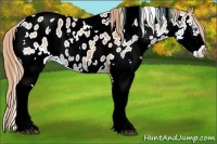 Horse Color:White Spotted Chestnut Splash Tobiano Blanket 