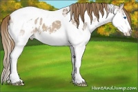 Horse Color:Chestnut Ice Sabino Splash Tobiano Near Leopard