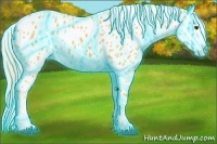 Horse Color:Thunderstruck Palomino Sabino Splash Near Leopard 