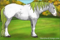 Horse Color:Painted Black Splash Appaloosa