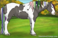 Horse Color:Painted Grullo Splash Tobiano Appaloosa 