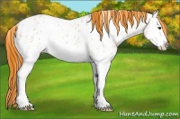 Horse Color:Painted White Spotted Red Dun Ice Sabino Splash Near Leopard Rabicano 