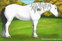 Horse Color:Bay Ice Dun Splash Tobiano 