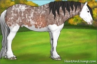 Horse Color:Bay Ice Splash 