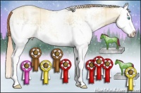 Horse Color:Plaid White Spotted Classic Cream Champagne Pearl Sabino Splash