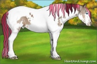Horse Color:Painted White Spotted Bay Splash Tobiano 
