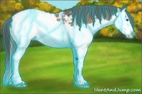 Horse Color:Thunderstruck Bay Sabino Splash Snowcap 