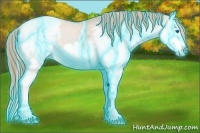 Horse Color:Thunderstruck Red Dun Sabino Splash Appaloosa