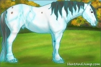 Horse Color:Thunderstruck Liver Red Dun Sabino Splash Appaloosa 