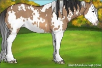 Horse Color:White Spotted Bay Dun Sabino Splash 