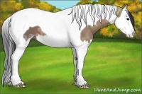 Horse Color:Bay Ice Sabino Splash Tobiano 