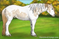 Horse Color:Chestnut Ice Sabino Splash Tobiano Rabicano