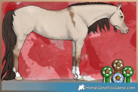 Horse Color:Classic Champagne Dun 