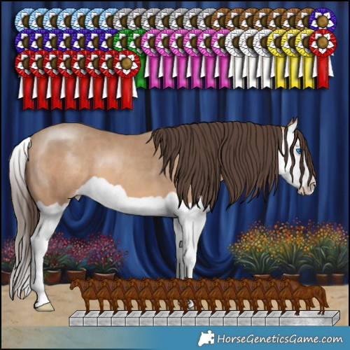 Horse Color:Amber Champagne Splash 