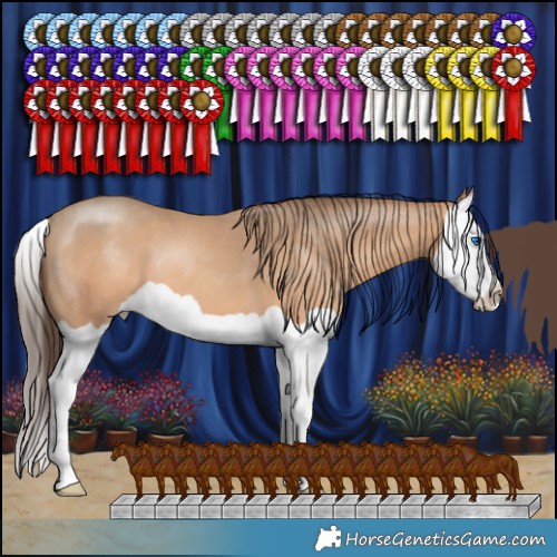 Horse Color:Amber Champagne Splash