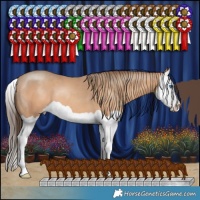 Horse Color:Amber Champagne Splash 