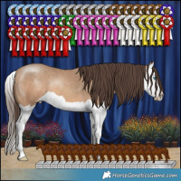 Horse Color:Amber Champagne Splash 