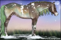 Horse Color:Painted White Spotted Silver Brown Onyx Appaloosa