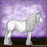 Horse Color:Brown Sabino Splash Blanket  and Silver Brown Sabino Splash Blanket 