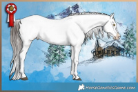 Horse Color:White Spotted Brown Dun Sabino Appaloosa Brindle