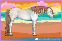 Horse Color:White Spotted Liver Red Dun Roan 