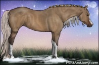 Horse Color:Silver Brown Dun
