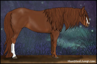 Horse Color:Gray Chestnut 