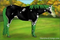 Horse Color:Watercolor Bay Appaloosa 