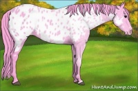 Horse Color:Watercolor Black Appaloosa