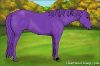 Horse Color:Watercolor Black 