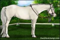 Horse Color:Chocolate Palomino Pearl Sabino