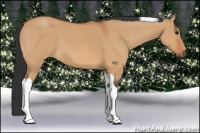 Horse Color:Bay Dun Tobiano