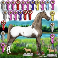 Horse Color:Liver Red Dun Appaloosa 