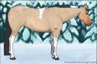 Horse Color:Bay Roan Dun Tobiano